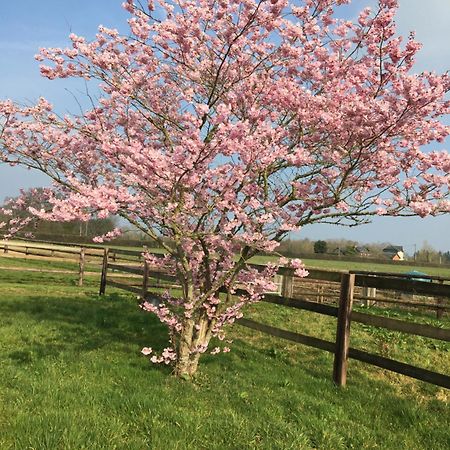 B&B Haras De La Cour Fleury Saint-Michel-de-Livet ภายนอก รูปภาพ