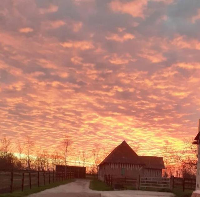 B&B Haras De La Cour Fleury Saint-Michel-de-Livet ภายนอก รูปภาพ