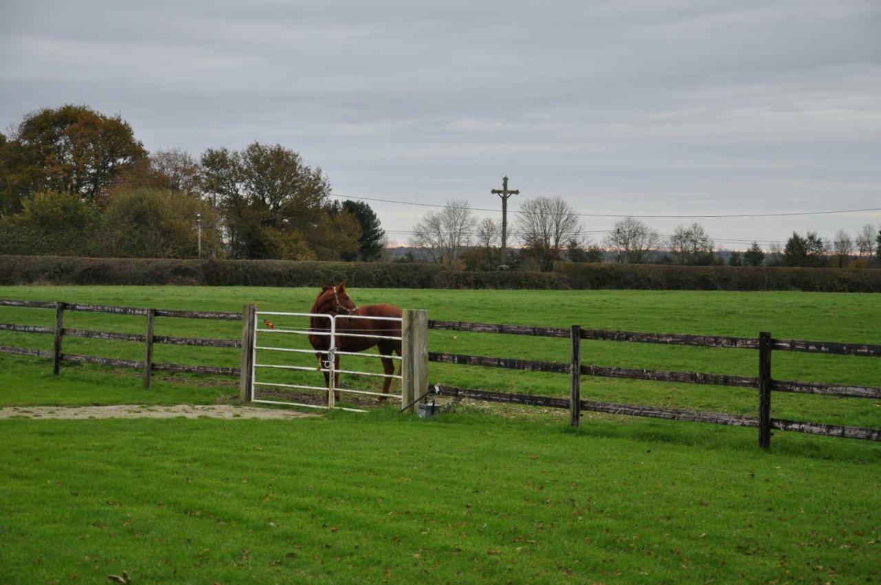 B&B Haras De La Cour Fleury Saint-Michel-de-Livet ภายนอก รูปภาพ