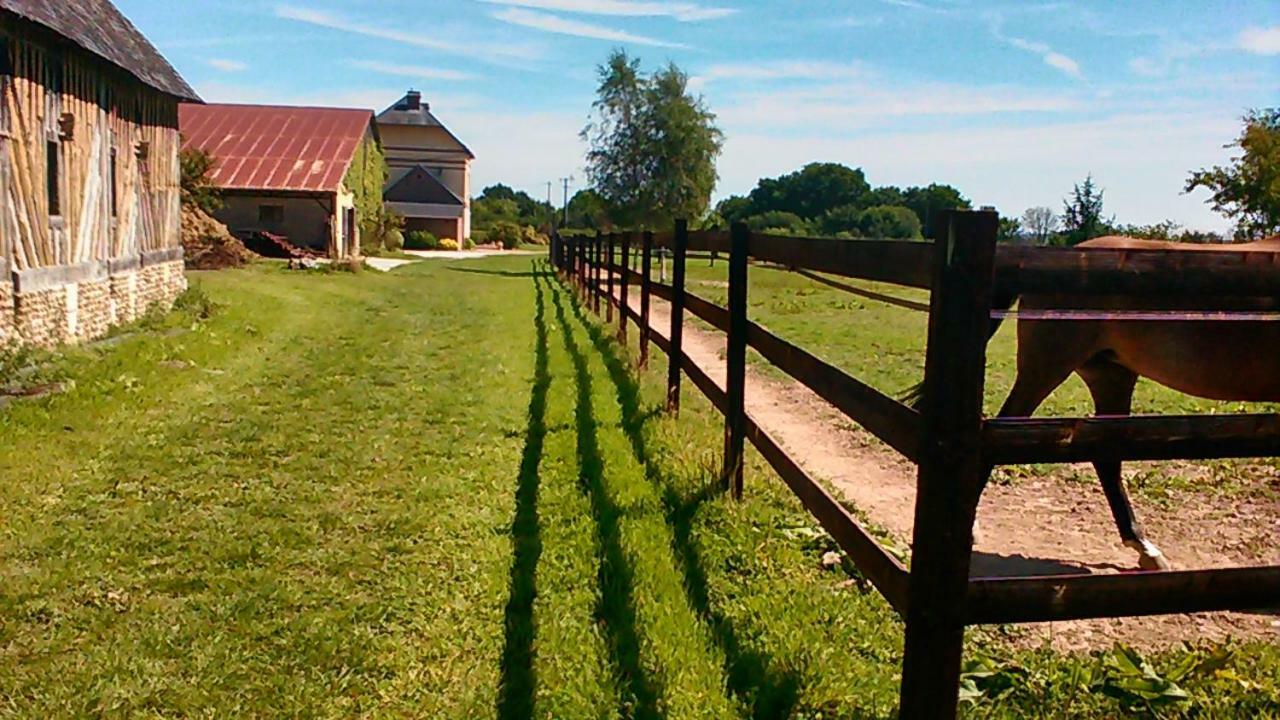 B&B Haras De La Cour Fleury Saint-Michel-de-Livet ภายนอก รูปภาพ